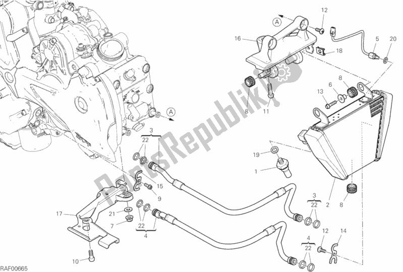Toutes les pièces pour le Refroidisseur D'huile du Ducati Diavel 1260 S Thailand 2020